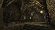 Mount & Blade (3)